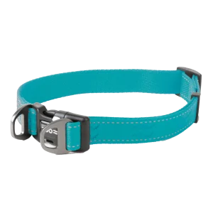 Hundhalsband Rufus st盲llbart Turkos