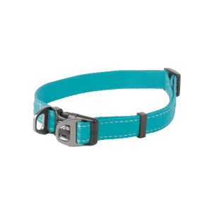 Hundhalsband Rufus st盲llbart Turkos