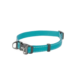 Hundhalsband Rufus st盲llbart Turkos