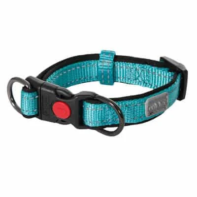 Hundhalsband Solid – Turkos - Image 2
