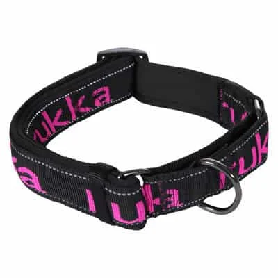 Hundhalsband Solid Web – Svart/Rosa - Image 2