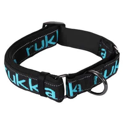 Hundhalsband Solid Web – Svart/Turkos - Image 2