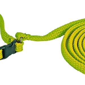Hundhalsband+Hundkoppel Gr枚n