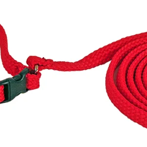 Hundhalsband+Hundkoppel R枚d
