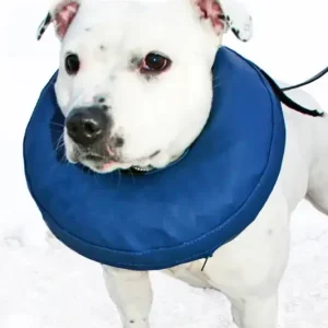 Hundkrage PetNation, uppblåsbar, nr 5, 40-45 cm