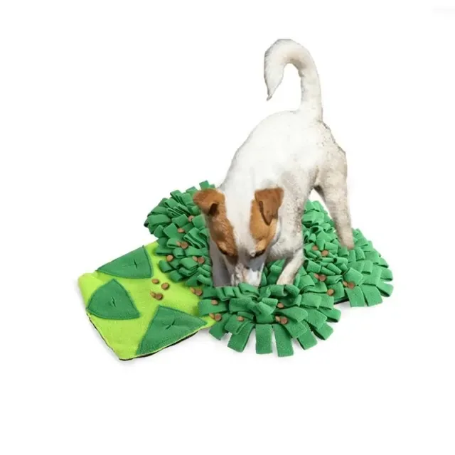 Hundleksak Snuffle Mat Broccoli - Image 2