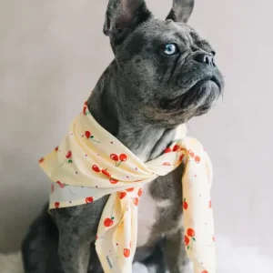 Hundscarf Österlen – Körsbärsmönster