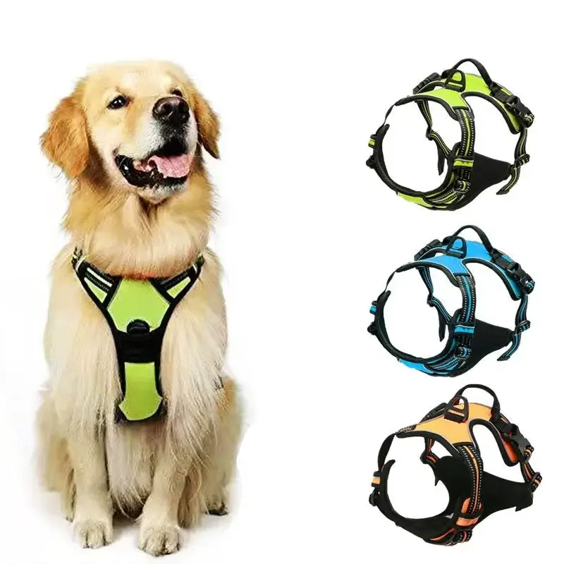Hundsele – Active | Antidrag, justerbar & reflekterande sele