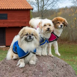 Hundtäcke FIDO