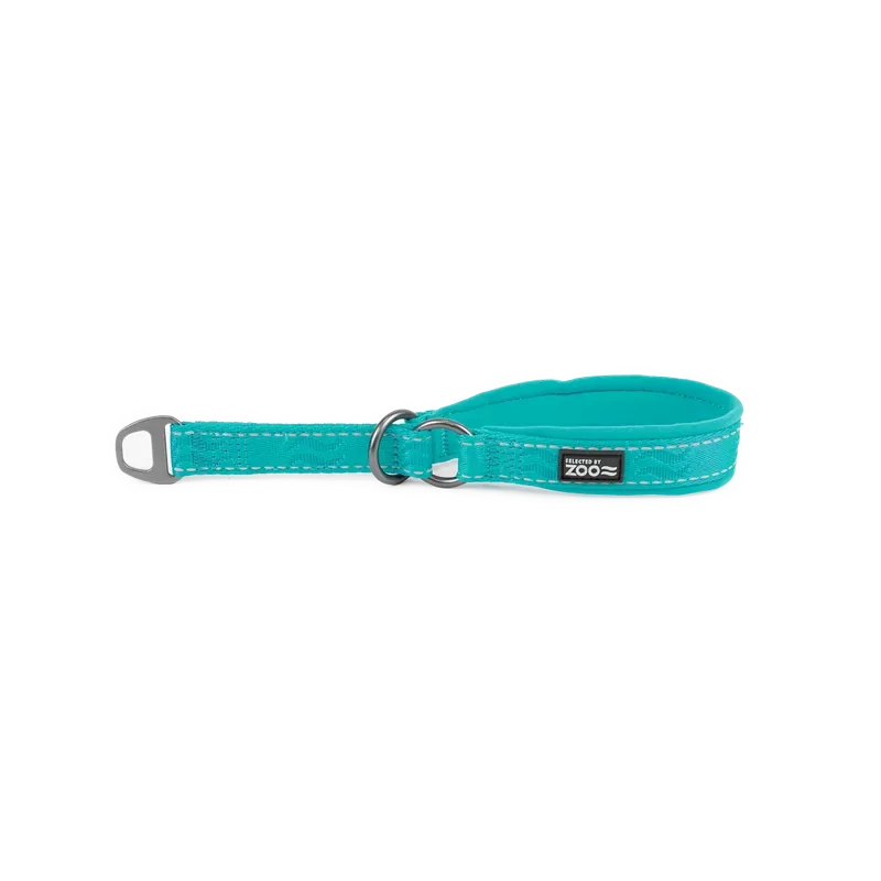 I lager Hundhalsband Rufus halvstryp 20 mm x 3040 cm Turkos