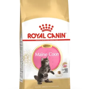 I lager Maine Coon Kitten Torrfoder för Kattunge – 4 kg
