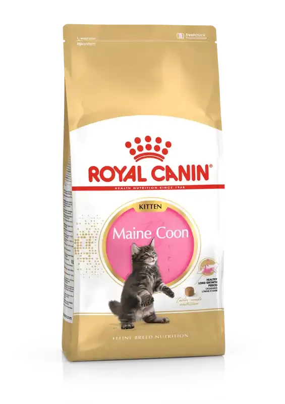 I lager Maine Coon Kitten Torrfoder för Kattunge – 4 kg