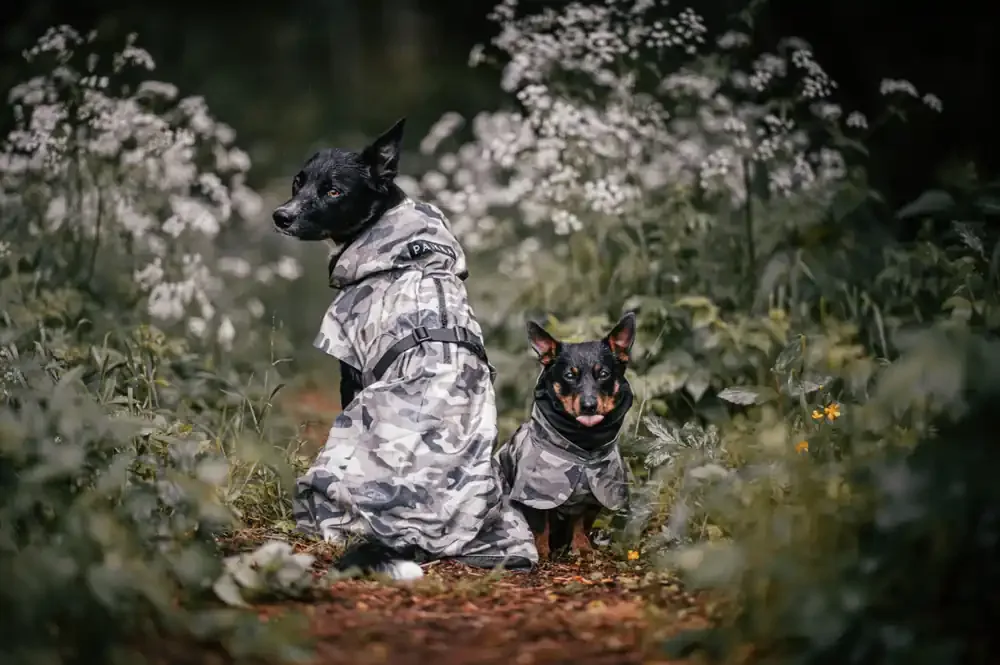 I lager Reflekterande Regnjacka Hund, Camo – 20