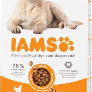 Iams Senior Large med kyckling hundfoder