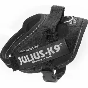 IDC SELE MINI-MINI SVART 40-53 CM