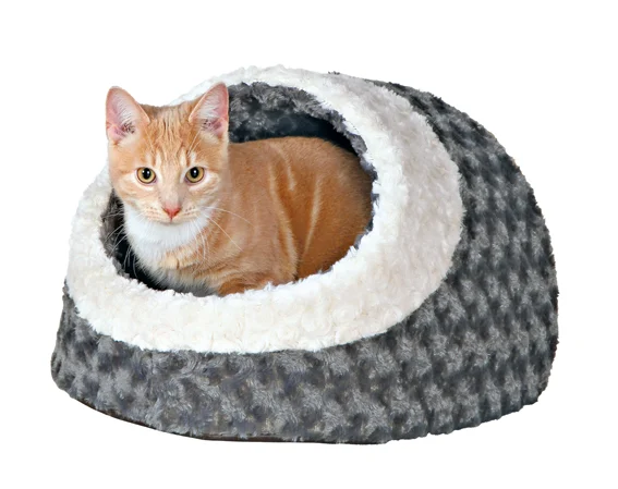 Igloo Kaline 41cm Grå/Cream - Image 2