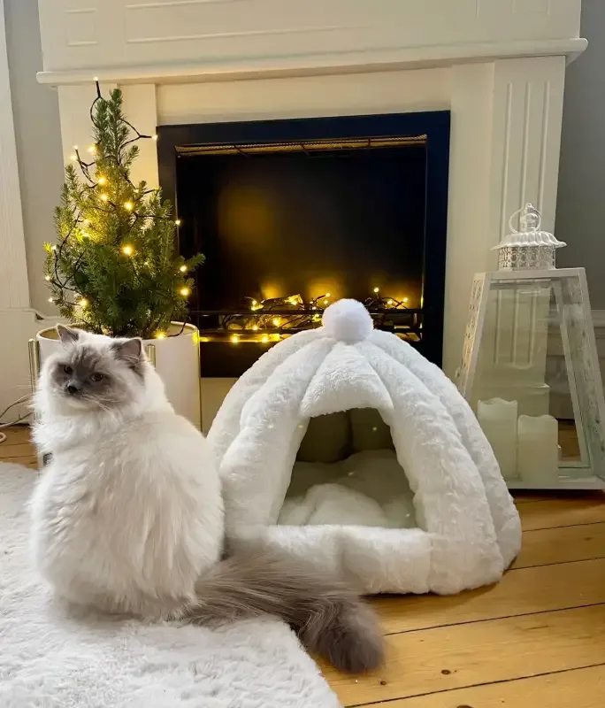 IGLOO – Stor & supermysig