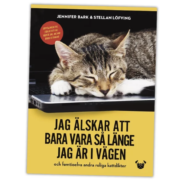 Jag älskar att bara vara så länge jag är i vägen