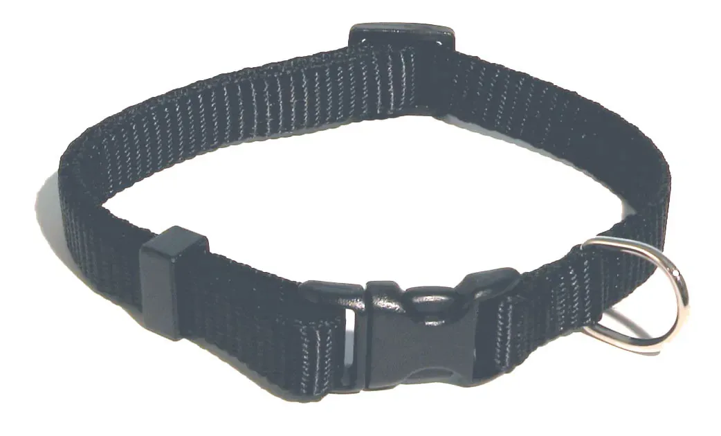 Justerbart Nylonhalsband Svart 10 mm För Små Hundar 21–34 cm