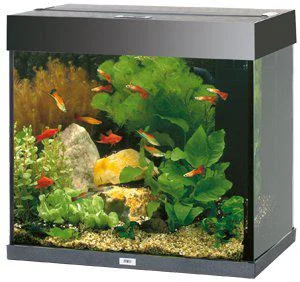 Juwel Akvarium LED Lido 120 Svart