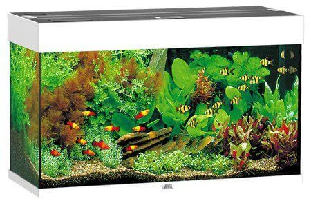 Juwel Akvarium LED Rio 125 Vit