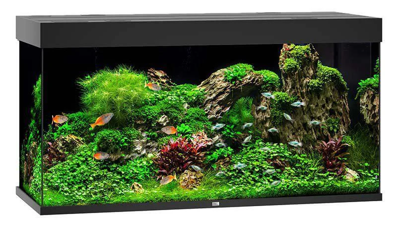 Juwel Akvarium LED Rio 350 Svart