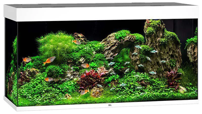 Juwel Akvarium LED Rio 350 Vit