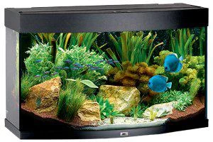 Juwel Akvarium LED Vision 180 Välvd Svart