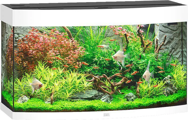 Juwel Akvarium LED Vision 180 Välvd Vit