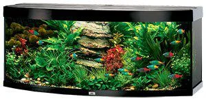 Juwel Akvarium LED Vision 450 Välvd Svart