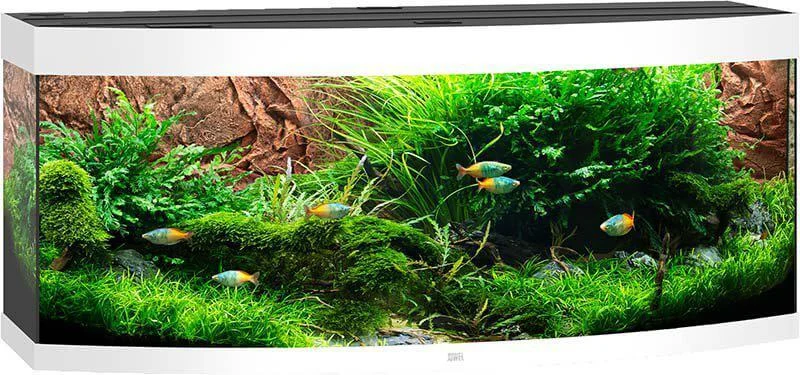 Juwel Akvarium LED Vision 450 Välvd Vit