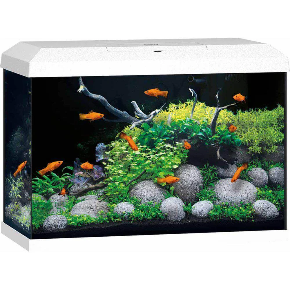 Juwel Akvarium Primo 70 2.0 LED Vit