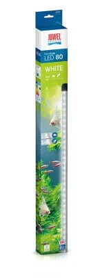 Juwel Novolux 80 White Neo
