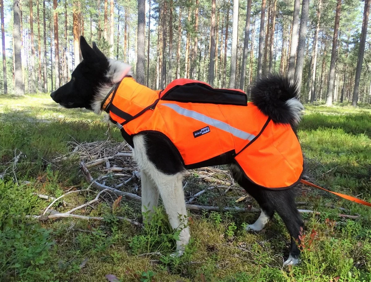 Kardog Pure Kevlar Gps-hundväst (ink bakdel) - Image 2