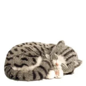 Katt grå tabbykatt Perfectpetzzz* orginal