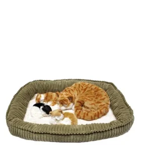 Katt mamma med ungar Perfectpetzzz