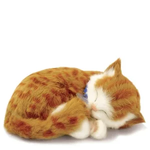 Katt orange tabby katt Perfectpetzzz* orginal