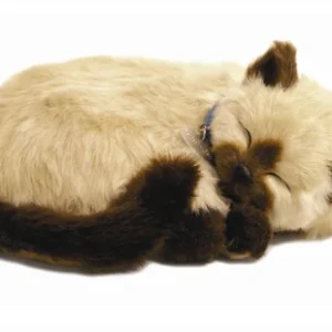 Katt Siameskatt Perfectpetzzz orginal