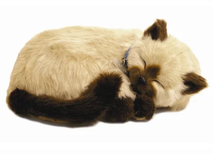 Katt Siameskatt Perfectpetzzz orginal