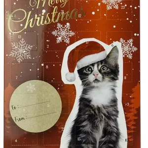 Kattens Julkalender