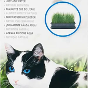 Kattgräs 85gr