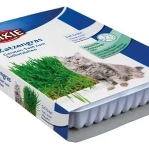 Kattgräs med odlingslåda 100 g