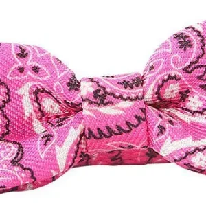 Katthalsband Med Rosett 30cm Rosa