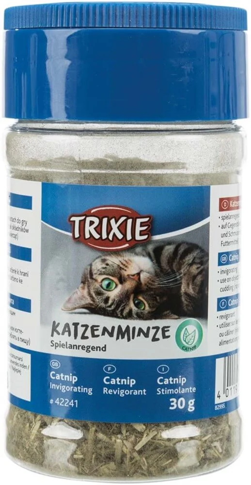 Kattmynta i Burk 30g