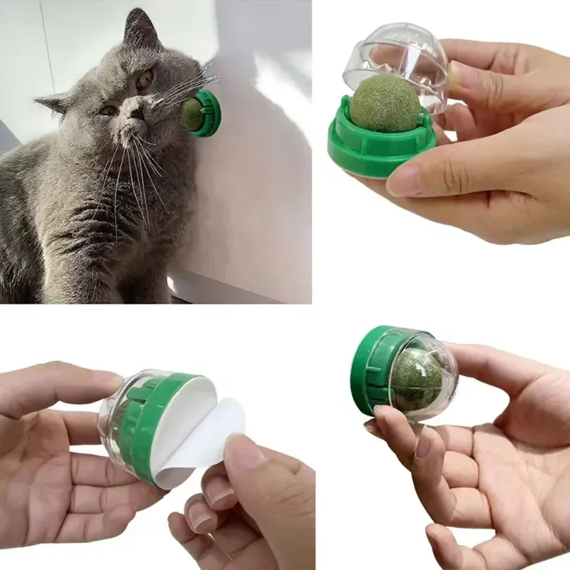 Kattmyntaboll
