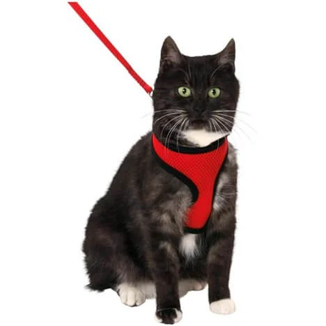 Kattsele Brynja + Koppel S Röd/Svart - Image 2