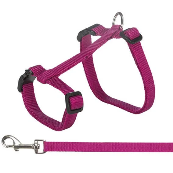 Kattsele + Koppel Nylon XL - Image 2