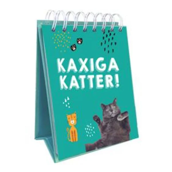 Kaxiga katter