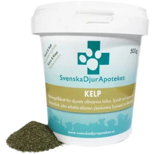 Kelp