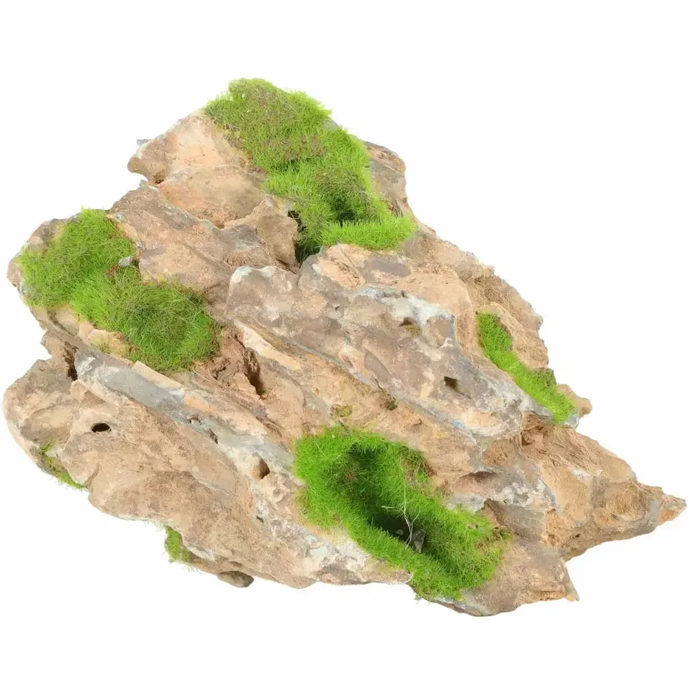 Kipouss Stone M W/ Live Plant Seeds